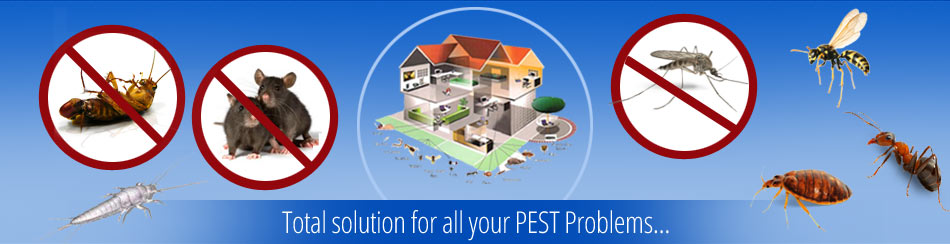 pest-control-services-dhaka-bangladesh pest-control-services-dhaka-bangladesh